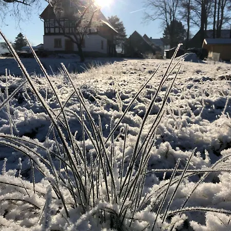 Finkenhübelblick Apartment Großschönau