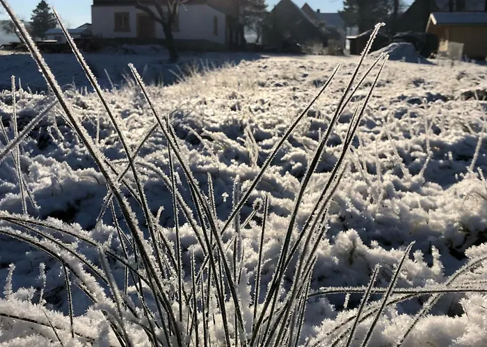 Finkenhuebelblick شقة غروسشوناو