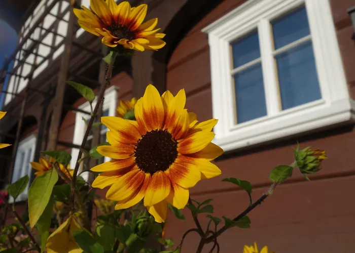 شقة Finkenhuebelblick غروسشوناو