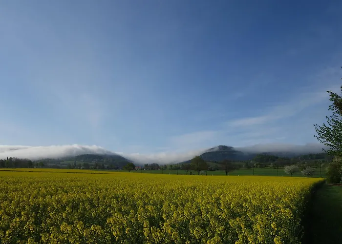 Finkenhuebelblick شقة غروسشوناو